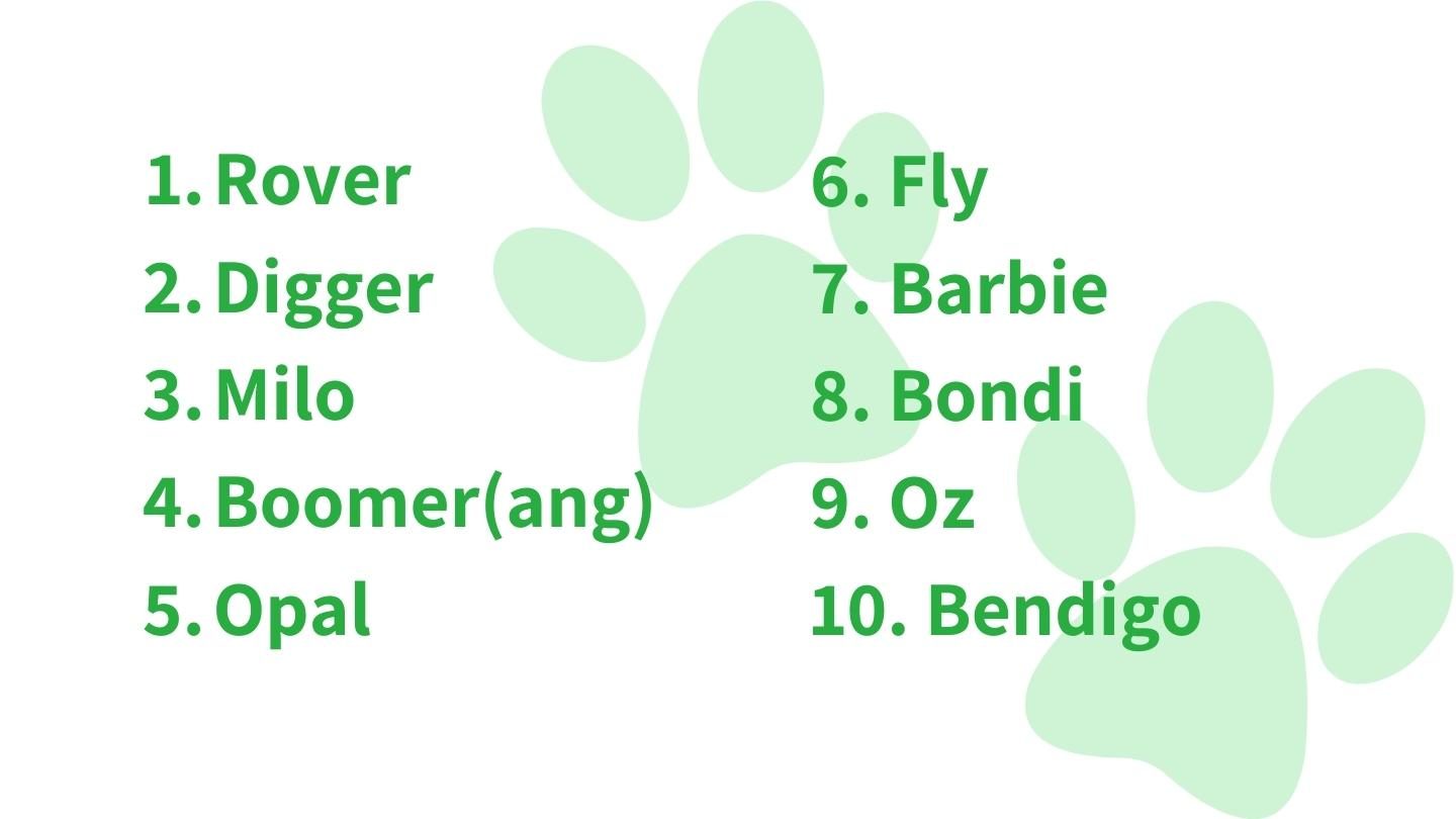 Dog and puppy name ideas for 2023 Pet insurance Mozo